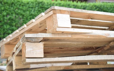 Obična paleta bez žiga